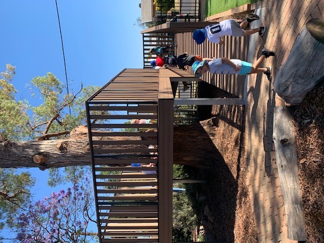 Dubbo District Preschool - Treehouse